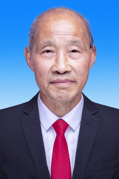 张发先